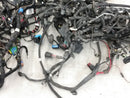 Alfa Romeo Giulia Body Wire Harness-4