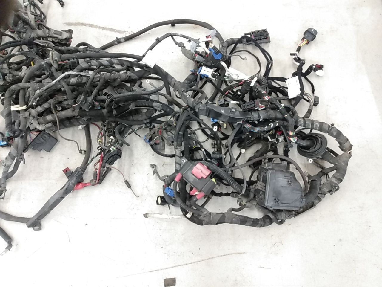 Alfa Romeo Giulia Body Wire Harness