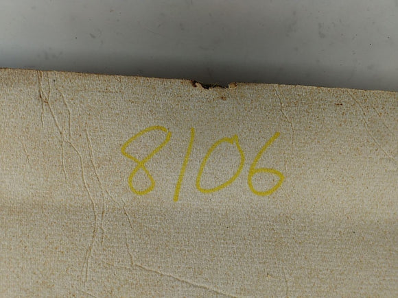 Ford Bronco Front headliner