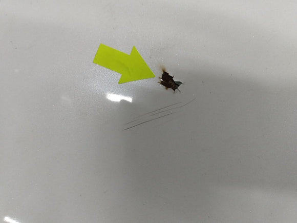 Lexus SC400 Trunk Lid Tailgate