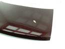 Buick Reatta Trunk Lid-4