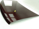Buick Reatta Trunk Lid-6