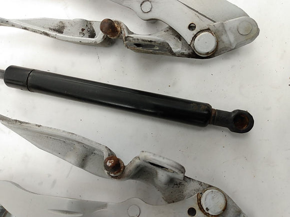 BMW Z4 Pair Of Trunk Hinges