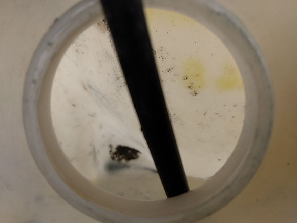 Pontiac Firebird Windshield Washer Reservoir