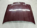 Buick Reatta Hood Bonnet Panel-5