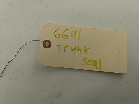 BMW 328i Trunk Molding Seal Weatherstrip