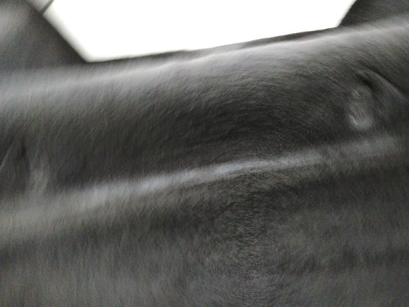 Pontiac Firebird Rear Floor Carpet