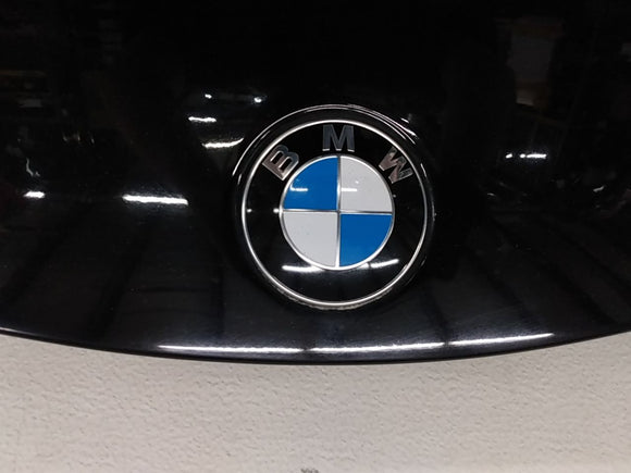 BMW 650i Hood Bonnet Panel