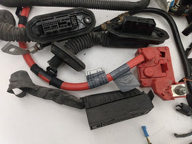 BMW 650i Vehicle Wiring Pigtails - 0