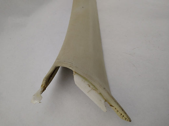 Lexus SC430 Pair Of Interior A Pillar Trims