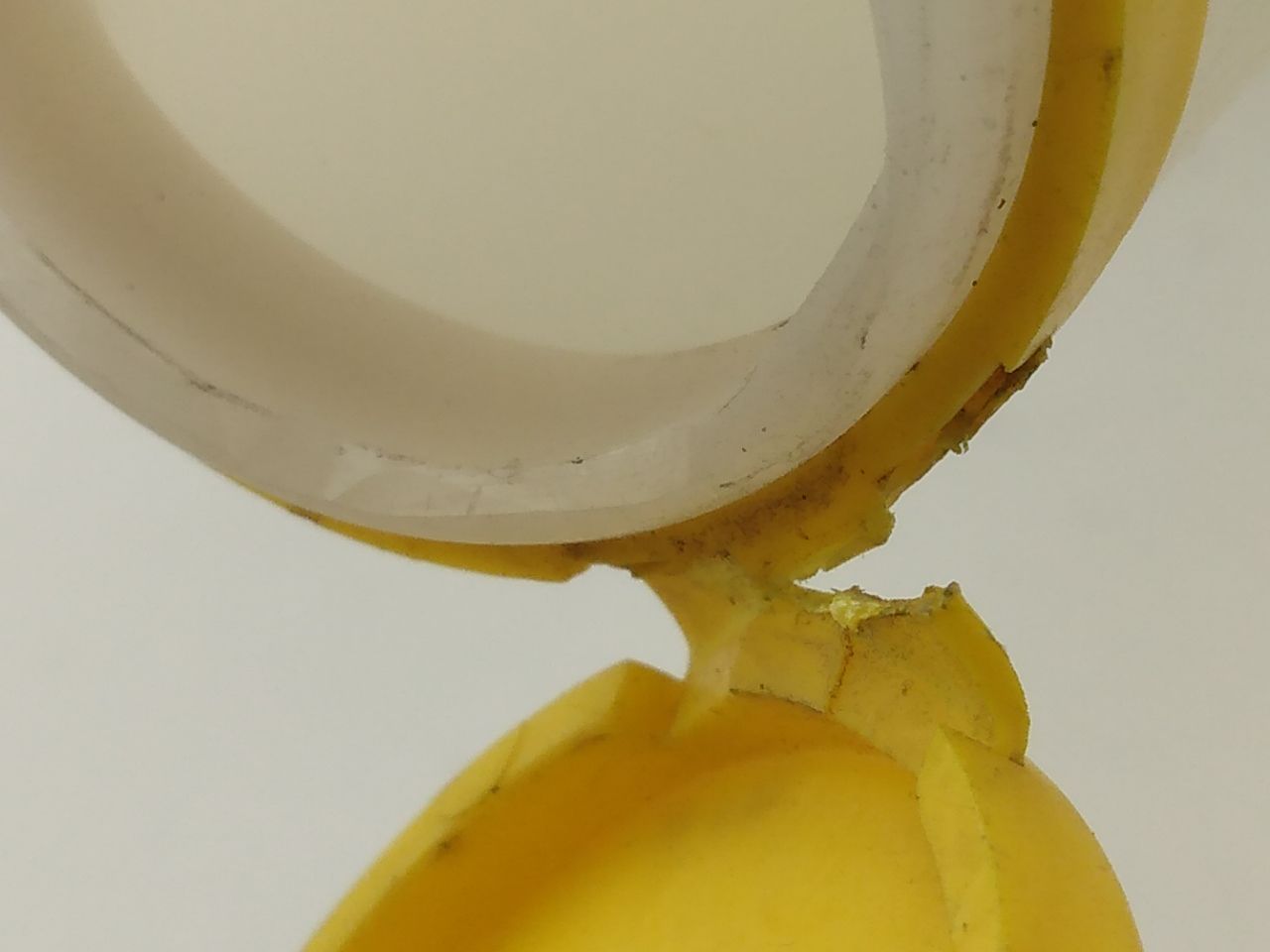 Saab 9-5 Windshield Washer Fluid Reservoir