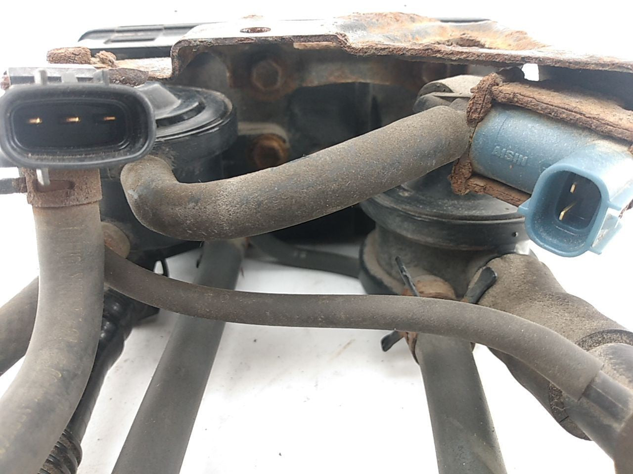 Lexus SC430 Fuel Vapor Charcoal Canister