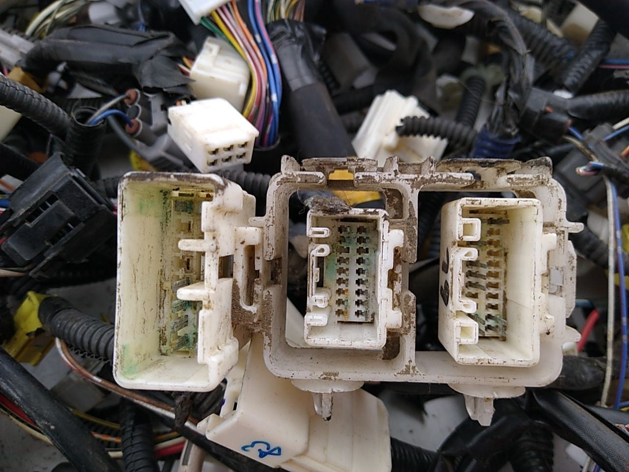 Lexus SC430 Body Wiring Harness