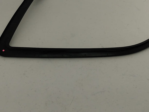 Dodge Charger Driver Left Front Door Window Frame Moulding
