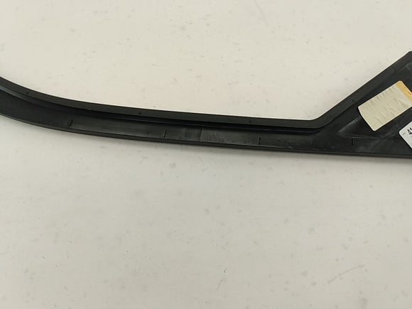 Dodge Charger Driver Left Front Door Window Frame Moulding