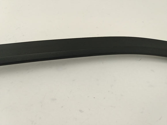 Dodge Charger Driver Left Front Door Window Frame Moulding
