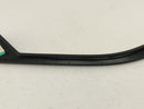 Dodge Charger Passenger Right Front Door Window Frame Moulding-5