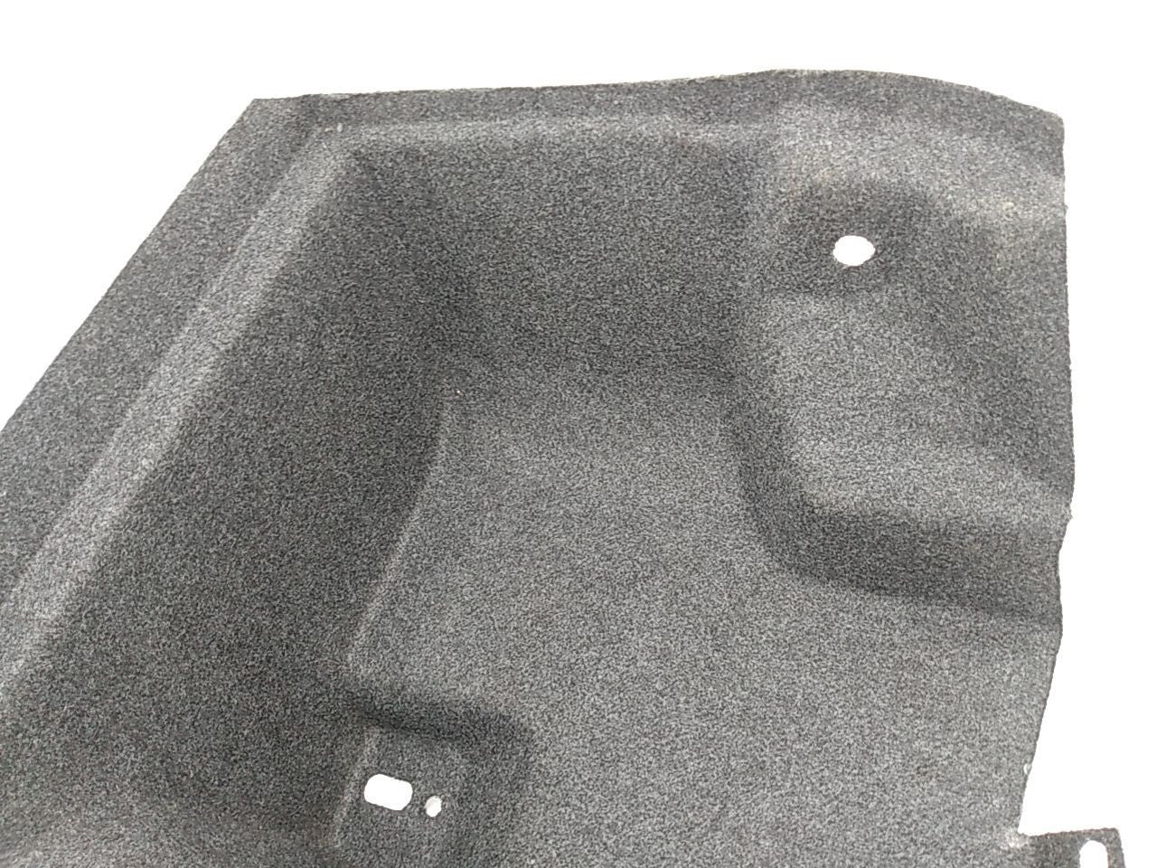 Dodge Charger Driver Left Rear Trunk Trim Panel