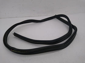Dodge Charger Trunk Seal Moulding - 0