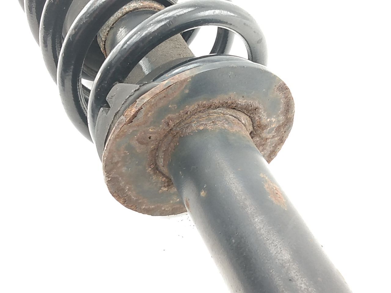 Dodge Charger Passenger Right Front Shock Absorber