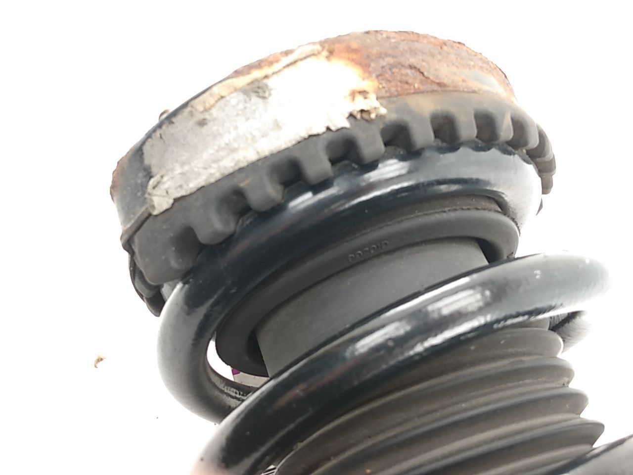 Dodge Charger Passenger Right Front Shock Absorber