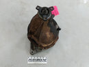 Dodge Charger Rear Differential Carrier-1