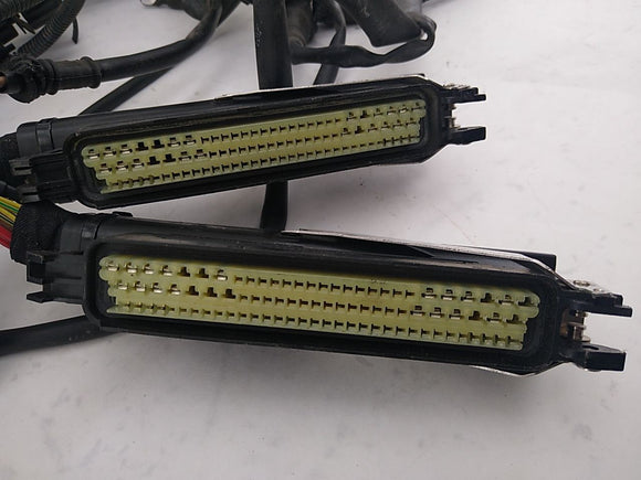 BMW Z3 Engine Wiring Harness