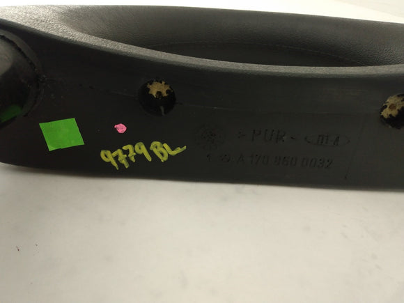 Mercedes SLK230 Driver Left Rear Headrest Roll Bar