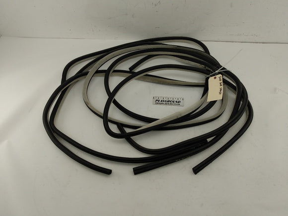 Dodge Charger Set Of 4 Door Molding Trims