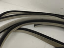 Dodge Charger Set Of 4 Door Molding Trims-7