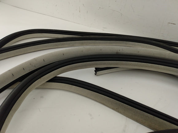 Dodge Charger Set Of 4 Door Molding Trims