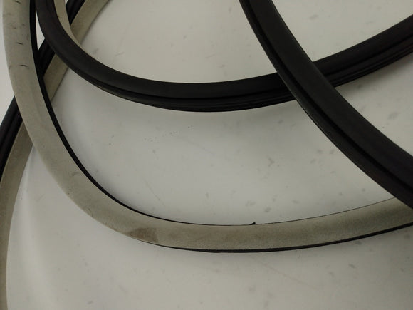 Dodge Charger Set Of 4 Door Molding Trims