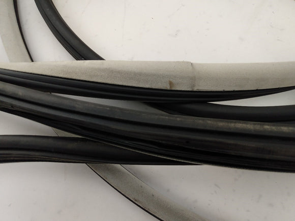 Dodge Charger Set Of 4 Door Molding Trims