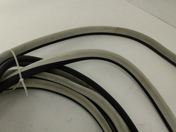 Dodge Charger Set Of 4 Door Molding Trims