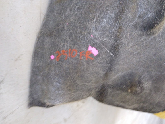 Jaguar XK8 Passenger Right Front Carpet Liner Trim