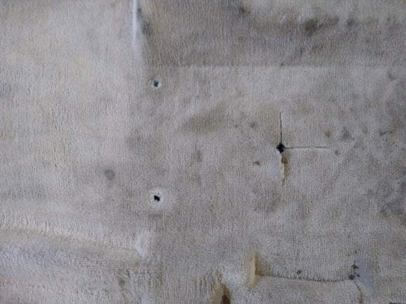 Jaguar XK8 Passenger Right Front Carpet Liner Trim