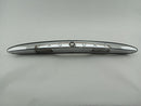 Jaguar XK8 Trunk License Plate Handle Trim-2