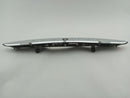 Jaguar XK8 Trunk License Plate Handle Trim-11