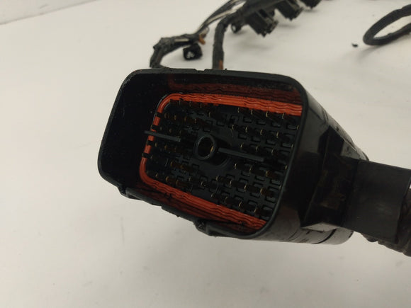 Jaguar XK8 Engine Wiring Harness