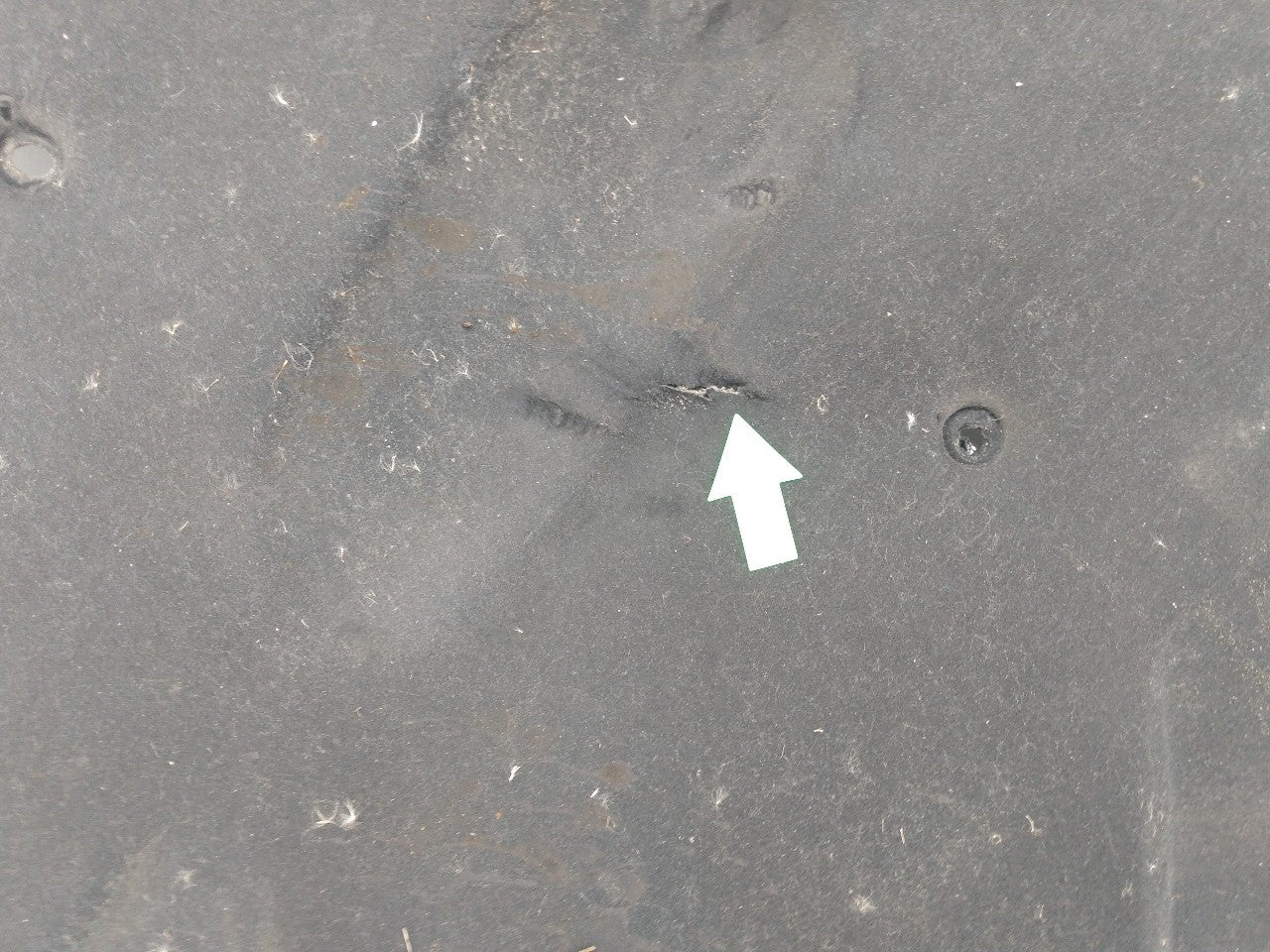 Mercedes SLK230 Hood Insulation Pad
