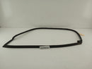 Audi TT Passenger Right Front Door Seal Molding-1