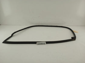 Audi TT Passenger Right Front Door Seal Molding