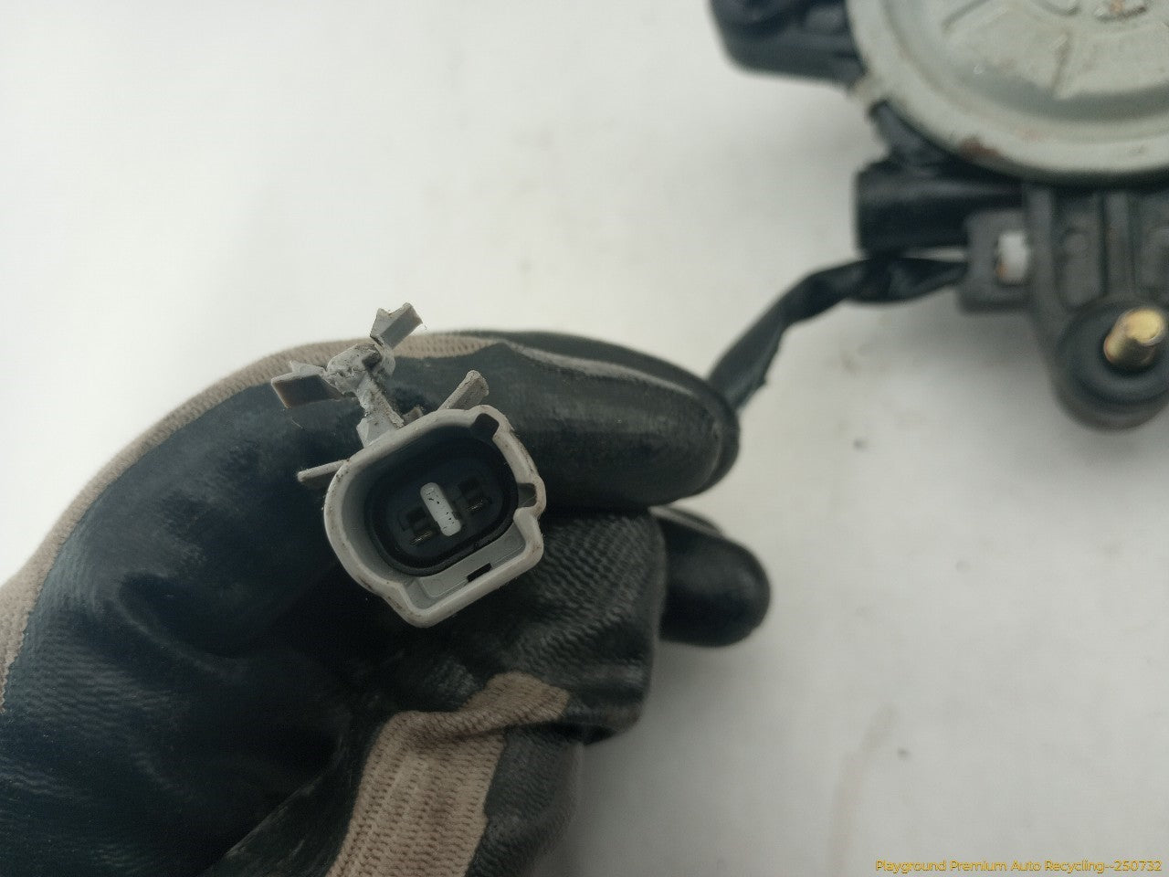 Toyota Celica Driver Left Front Door Window Regulator