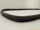 Land Rover LR4 Passenger Right Door Molding Seal-2