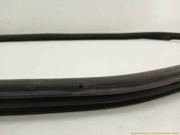 Land Rover LR4 Passenger Right Door Molding Seal