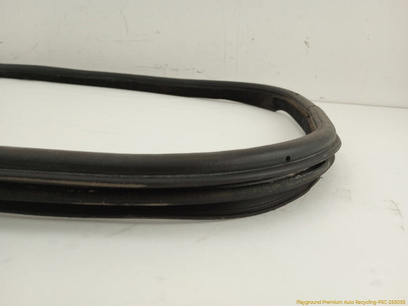 Land Rover LR4 Passenger Right Door Molding Seal