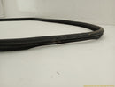 Land Rover LR4 Passenger Right Door Molding Seal-6