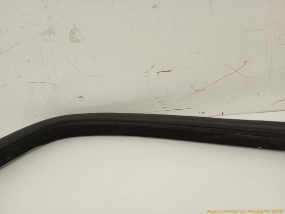 Land Rover LR4 Passenger Right Door Molding Seal