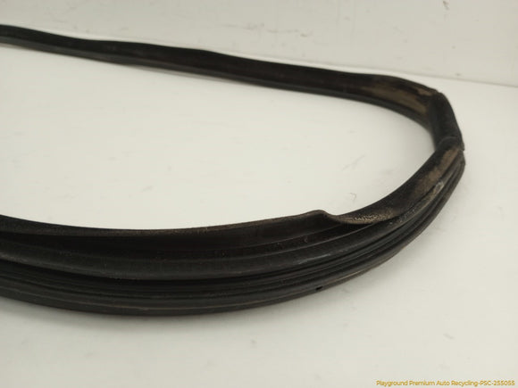 Land Rover LR4 Passenger Right Door Molding Seal