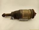 Land Rover LR4 Passenger Right Rear Air Suspension Strut-1